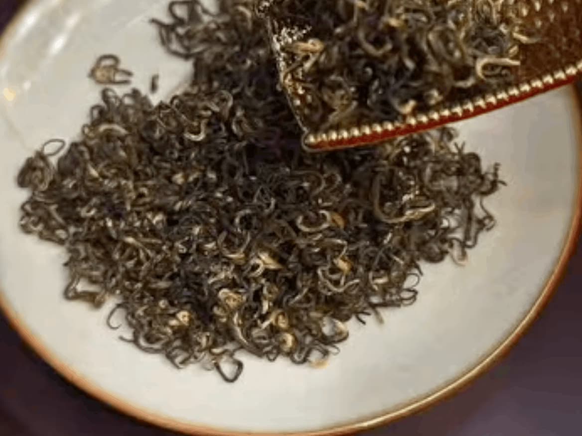 Trà khô cánh xoăn nhiều búp tuyết trắng, đổ từ xúc trà mạ vàng xuống đĩa sứ men ngọc viền vàng